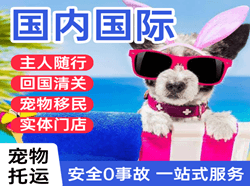 三明沙县航空货运国际宠物托运 【国
